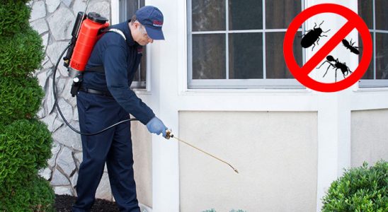 Patnos Kene İlaçlama böcek ilaçlama ve haşere kontrolü — ilaclama-tr.com